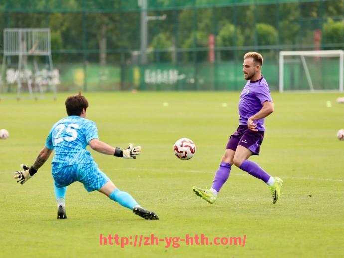 华体会hth-法甲门将能力综合评分与技术细节拆解